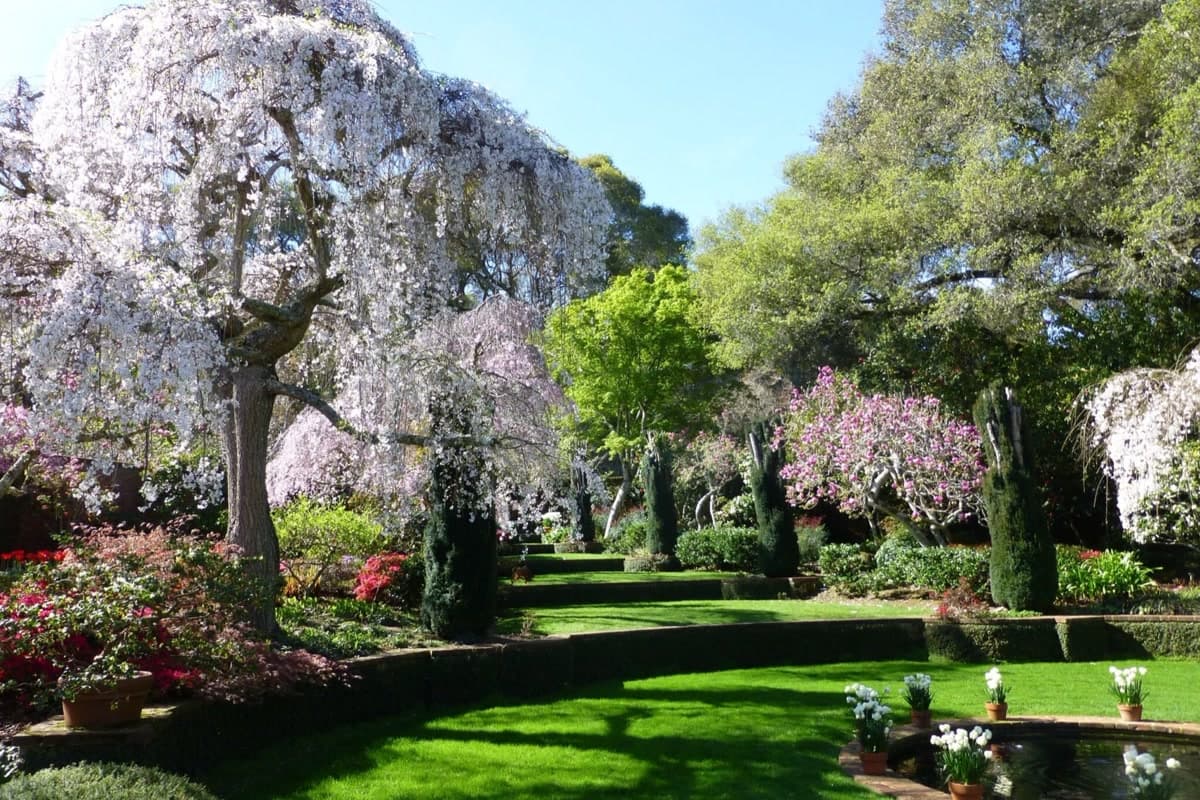 Filoli estate gardens